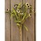 Country Style Artificial Daisy Bouquet 14 Inch Greenery Floral Decor Set of 3
